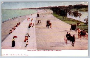 Lake Shore Drive, Lincoln Park, Chicago, Illinois, Antique 1908 Postcard