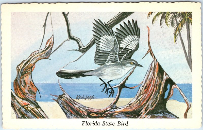 1973 FL Florida State Bird Mockingbird Beach Palms Ken Haag Painting Art PC A335