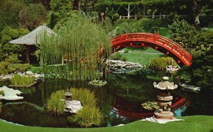 Vintage Postcard The Oriental Gardens Rare & Exotic Planting San Marino CA