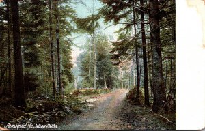 Maine Pemaquid Wood Paths