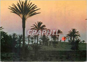 Postcard Modern Tunisia Sun Sunset