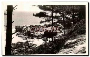 Old Postcard From Noirmoutier island Picturesque A Corner In The Bois De La C...