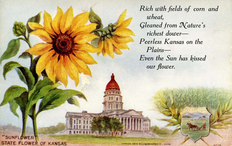 KS - State Flower & Capitol. Sunflower & Topeka