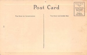 Lady Capturing Men in Spider Web Vintage Postcard AA75738