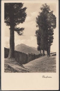 Austria Postcard - Bergfrieden, Seefeld, Tirol    RS11237