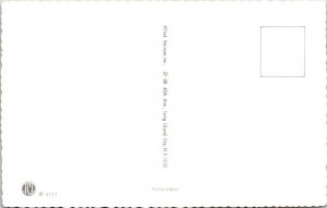 Alfred Mainzer DRESSED CATS #4717 Road Workers  ANTHROPOMORPIC  Spain Postcard