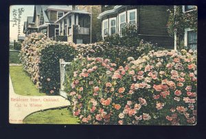 Oakland, California/CA Postcard, Residence Street In Winter