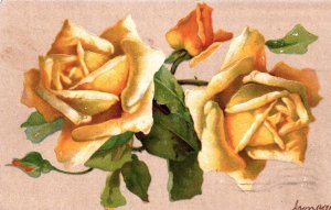 Beautiful Yellow Roses - in 1907 -  Vintage Postcard