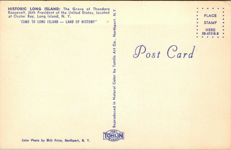 Vtg Grave of President Theodore Roosevelt Long Island New York NY Postcard