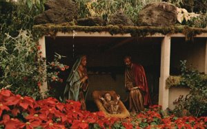 Postcard A Traditional Christmas Scene Mitchell Park Milwaukee Wisconsin WI