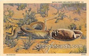 Rattle Snake, Rabbit Unused 