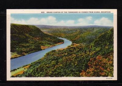 Tennessee colour PC Grand Canyon from Signal Mountain, unused