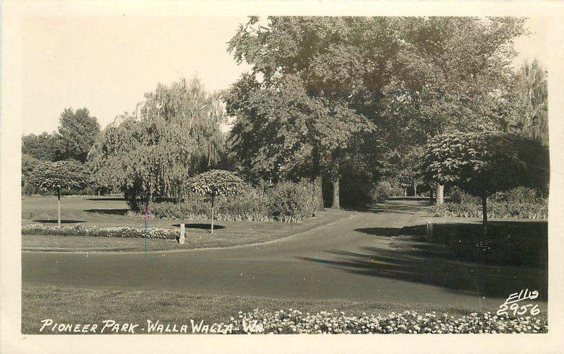 Ellis 1940s Walla Walla Washington Pioneer Park RPPC real photo postcard 372