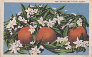 Florida Flowers Oranges and Blossoms Curteich