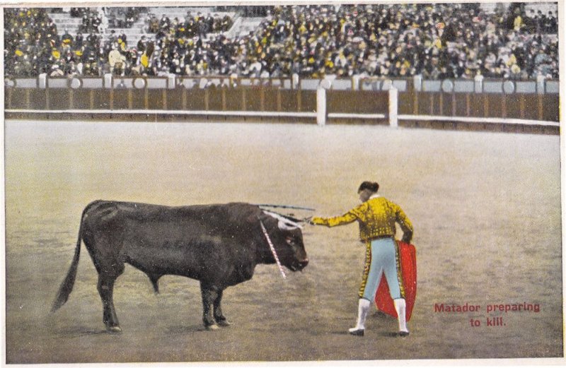 Matador Prepares To Kill 1920s Spanish Bullfighting Antique Postcard