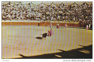 A Bullfight At Guadalajara, Mexico, 1940-1960s