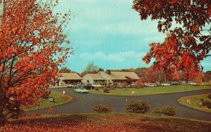 Vintage Postcard Bluffs Coffee Shop Doughton Park Blue Ridge Parkway N Carolina