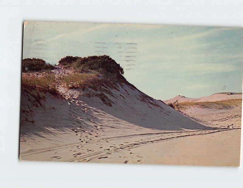 Postcard Sand Dunes on Outer Cape Cod, Massachusetts