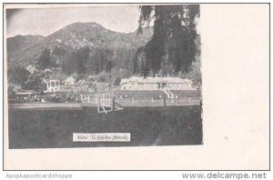 New Zealand View Te Aroha Domain 1906