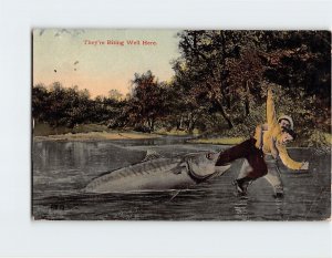Postcard They're Biting Well Here with Fish Men Lake Trees Nature Scenery