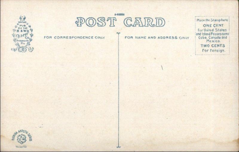 Jacksonville FL State Board of Health c1920 Postcard