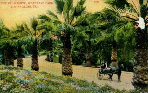 Circa 1905-10 Palm Drive in West Lake Park, Los Angeles, California Vintage P12