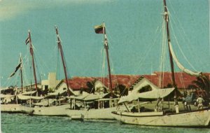 aruba, N.W.I., ORANJESTAD, Paarden Baai, Fishing Boats, Cunard Line Postcard