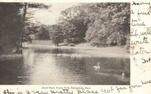 Vintage Postcard Duck Water Pond Forest Park Springfield Massachusetts MA Nature