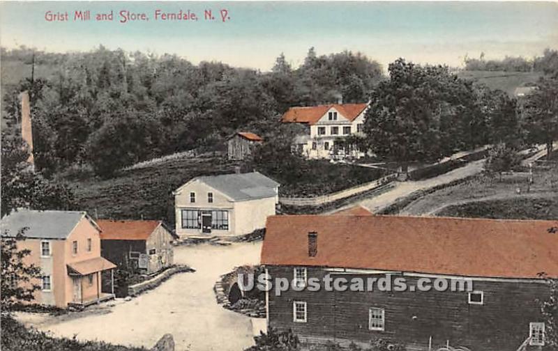 Grist Mill and Store Ferndale NY Unused