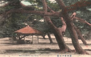Vintage Postcard 1910's View National Park of Maiko near Kobe Japan JPN