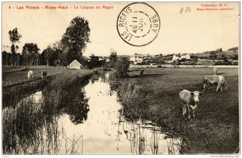 CPA Les RICEYS La Laignes au Magny (722911)