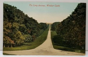 UK Berkshire, The Long Avenue ~ Windsor Castle  Postcard D16