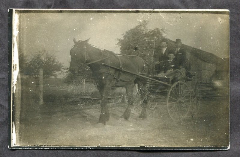 dc174 - Canada Ontario 1910s Real Photo Postcard Horse Buggy.