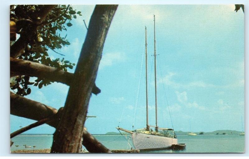 *B62 Sailboat at Shore Puerto Rico Old Vintage Postcard