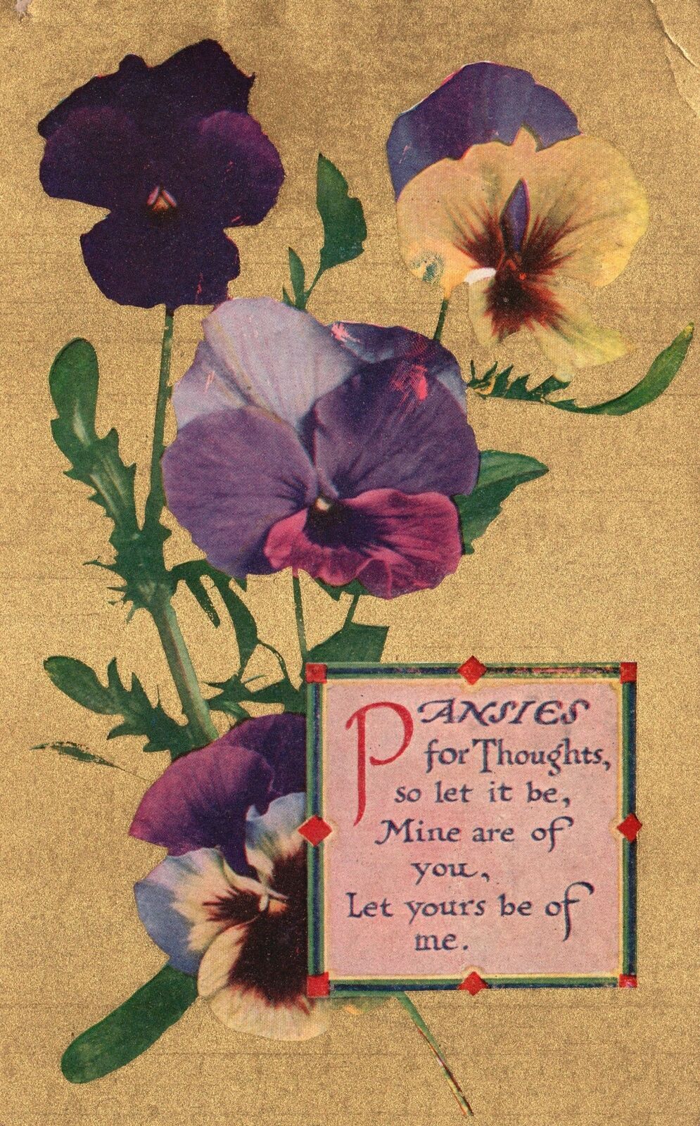 Vintage Postcard 1910 Pansies Purple Yellow Flowers For Thoughts So Let vintage-postcard-1910-pansies-purple-yellow-flowers-for-thoughts-so-let