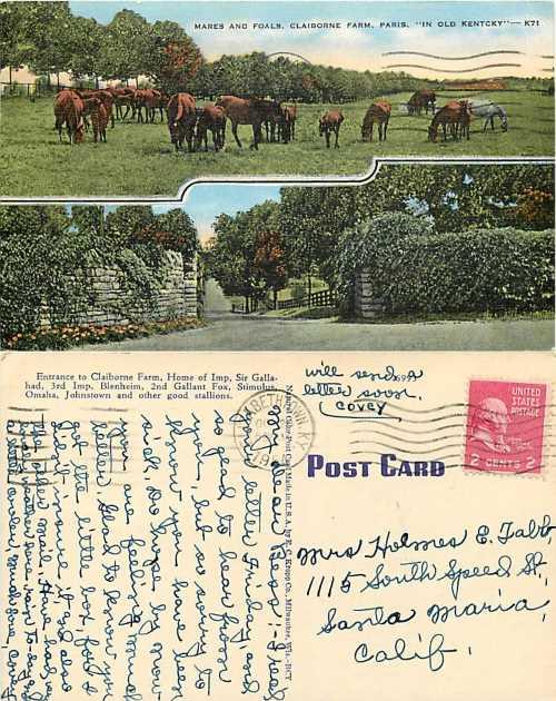 Mares & Foals, Claiborne Farm, Paris, Kentucky, KY, 1954 Linen
