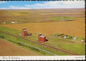 Harvest In Saskatchewan Qu'Appelle Valley SK Sask Grain Elevator Postcard D9