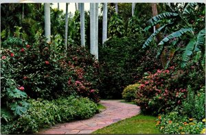 Walking Path Winding Takes Visitors Floridas Sunken Gardens Postcard Note WOB PM 