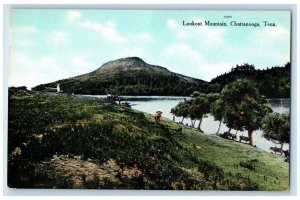 c1910 Lookout Mountain Animals Scene Chattanooga Tennessee TN Antique Postcard