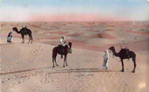 B91488 types folklore touaregs dans les dunes tunisia chamel