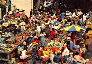 BG9400 guadeloupe pointe a pitre marche saint antoine caribbean islands