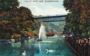 Scarborough Valley Park Lake Antique Bird Swan Postcard