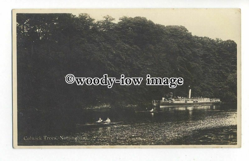 tq1664 - Notts - Steamer & Row Boats at Colwick Trees, Nottingham - postcard