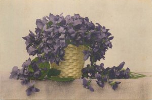 Flowers topic vintage greetings postcard