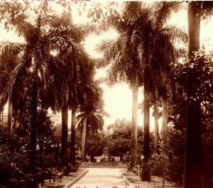 RPPC la Habana Cuba Columbus Parque Fuente Unp Vtg Tarjeta Postal 1930s Azo