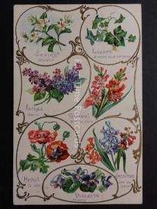 Art Nouveau c1908 Wonderful Language of Flowers Postcard by K.F.Editeurs, Paris