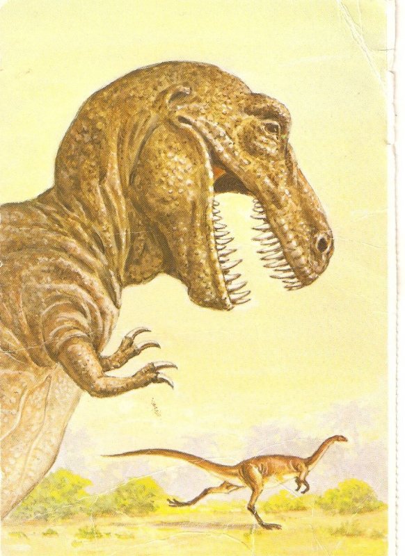 Animals. Tyranosaurus Rex  and Ornitomimus  Modern English art postcard