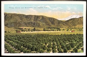 Vintage Postcard 1915-1930 Orange Groves & Mountains, Los Angeles, California CA