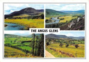 uk36262 angus glens scotland uk lot 6 uk