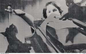 Black Cat & Scottie dog at piano , 1977